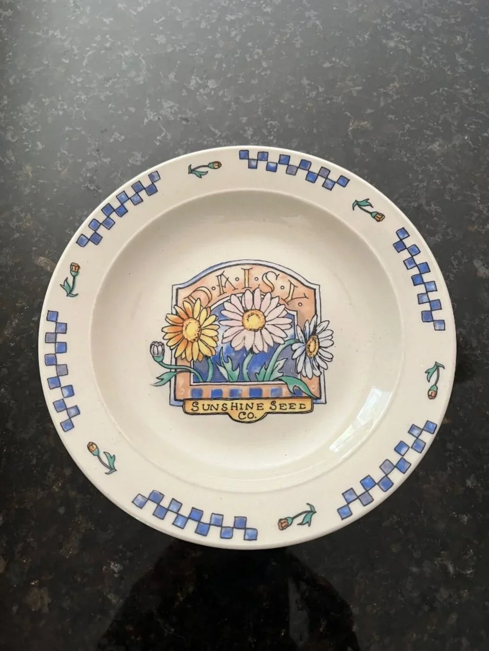Gibson Daisy Sunshine Seed Company Plate A955